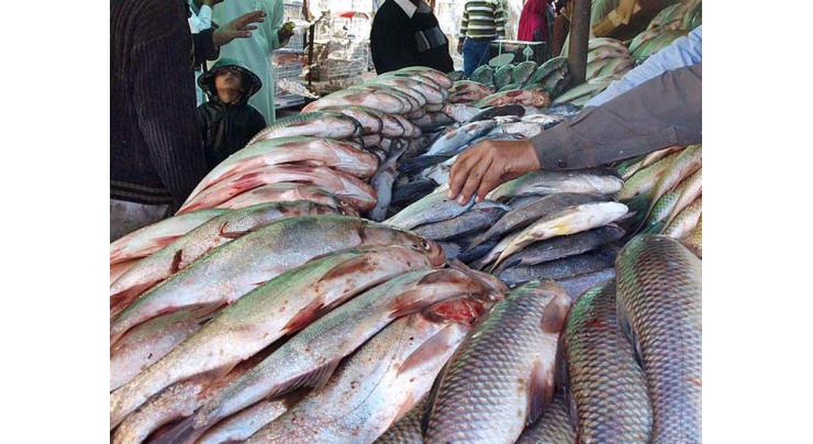 Nine members committee formed to address fishing industry grievances
