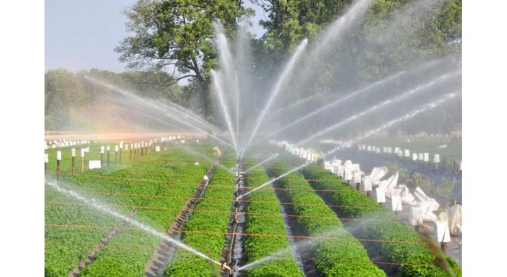 60 pc subsidy on drip irrigation system
