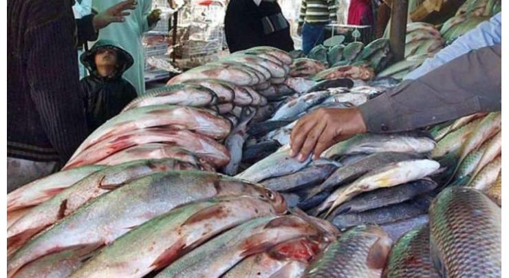 Govt to setup 17 model fish farms in KP
