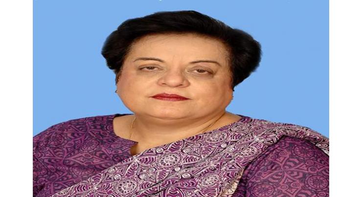 Mazari seeks opposition's support for passing missing persons' bill

