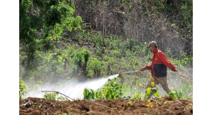 China's breadbasket province to reduce pesticide use
