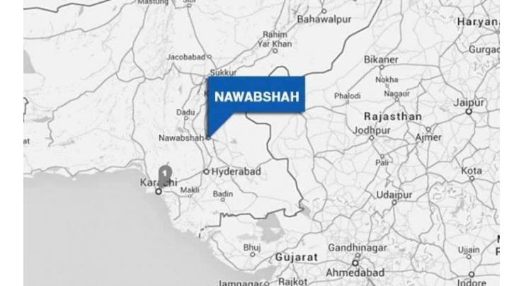 Caravan of peace reaches Nawabshah
