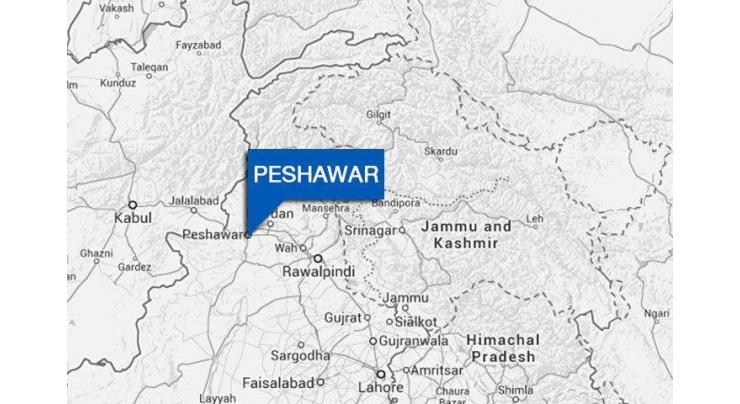 Tribal elder killed in Peshawar
