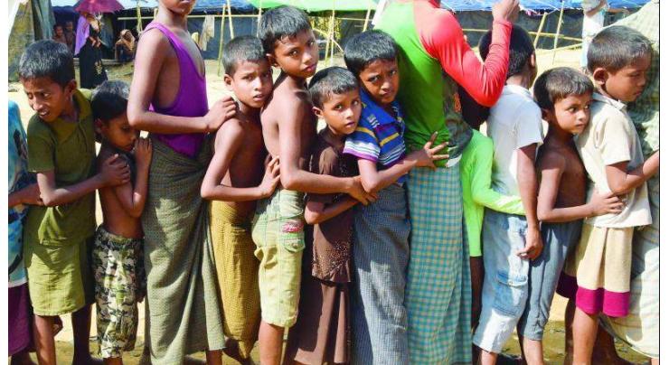 31 Rohingya in limbo on Bangladesh-India border
