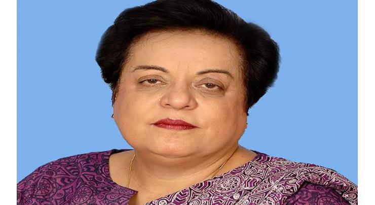 Govt committed to ensure basic rights of citizens: Dr Shireen M Mazari 
