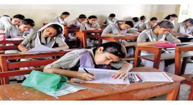 Punjab Examination Commission issues roll number slips to 5th & 8th class students
