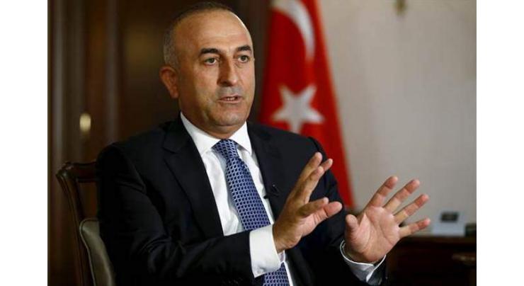 Safe Zone on Syrian Border Should Be Set Up With Turkey's Participation - Cavusoglu