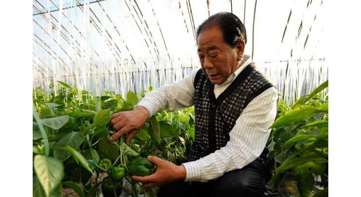 Production resumes in China's major vegetable supplier
