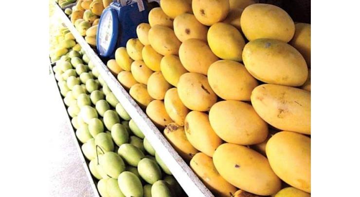 Rain beneficial for crops, mango growers should be cautious
