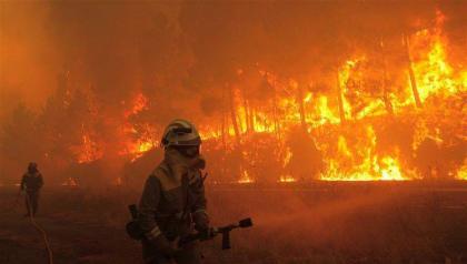 أستراليا تتعرض لموجة حر شديدة والحرائق تلتهم الغابات
