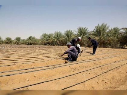 &quot; الرقابة الغذائية &quot;: خطة لتحقيق الاستدامة الزراعية في أبوظبي