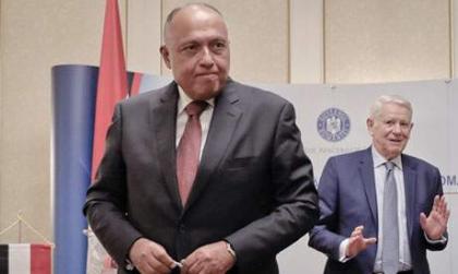 وزير الخارجية المصري يناقش مع نظيره الأردني تطورات القضية الفلسطينية والأزمة السورية