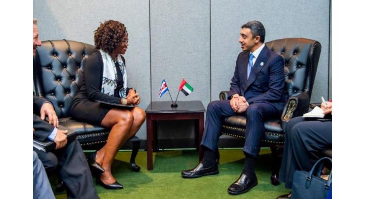 Abdullah bin Zayed meets Costa Rica VP