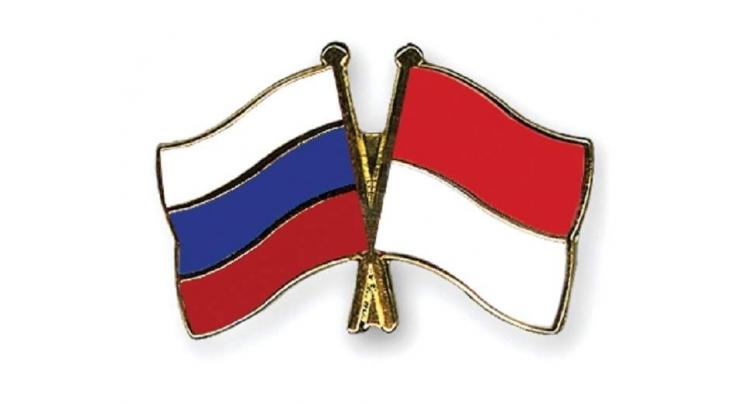 Russia, Indonesia Agree to Conclude Information Security Deal - Russian Security Council