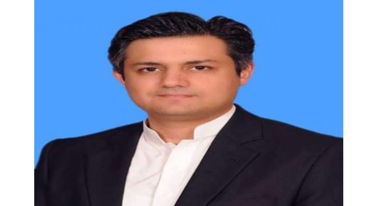 Friendly countries provided financial assistance due to PM's credibility: Hammad Azhar 