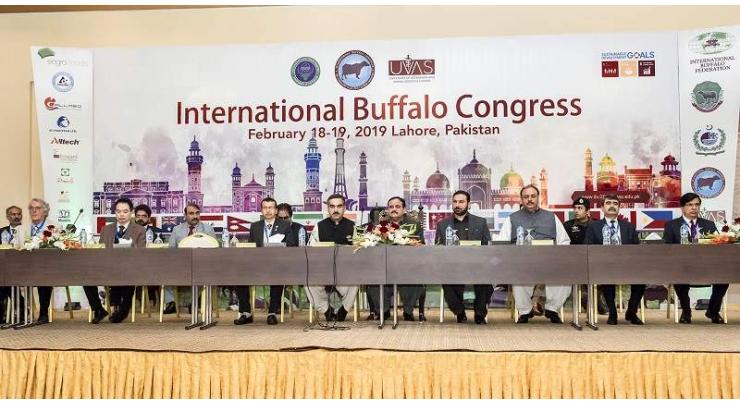 Punjab CM inaugurates International Buffalo Congress and Sino-Pak Buffalo Research Centre , Usman Buzdar says govt promoting livestock sector on scientific lines