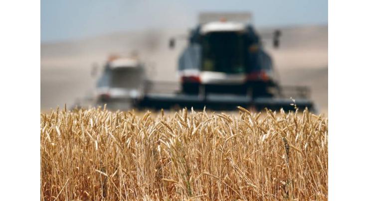 Russia to Wait for Saudi Response on Grain Deliveries for 2 Months - Grain Quality Center