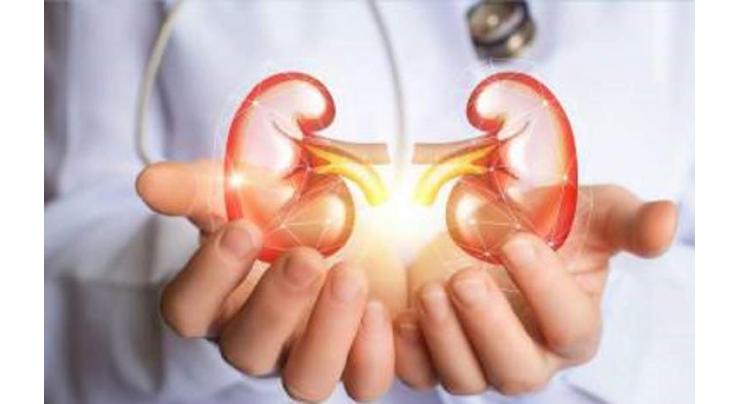 Pakistan ranked 8th in the world in kidney diseases: Experts