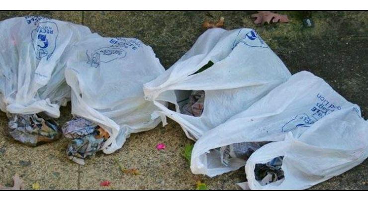 KP govt imposes ban on use of polythene bags, violators to face fine: Yousufzai