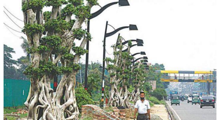 Decision taken to beautify  main highways of the city