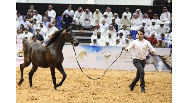 Dubai International Horse Fair opens tomorrow