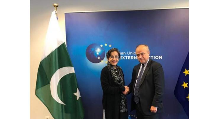 Pak-EU hold 5th Political Dialogue on bilateral relations, regional issues