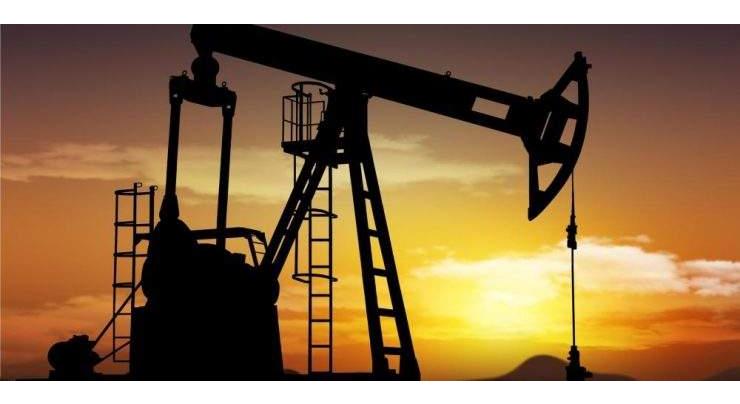 Discovered oil and gas reserves to be sufficient for 100 years: Sabir Shakir