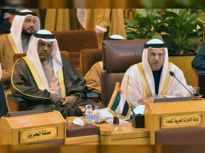 الإمارات تدعو لمواجهة التدخلات الإقليمية المستمرة في الشؤون الداخلية للدول العربية