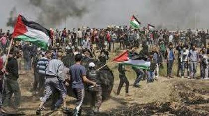 مقتل فلسطيني وإصابة 33 آخرين بمواجهات مع القوات الإسرائيلية شرقي غزة- الصحة