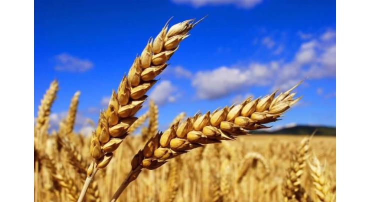 Wheat worth, US$ 110.335 mln, rice 1.257 bln exported in 8 months of FY 2018-19: PBS

