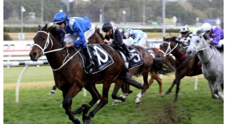 Record-breaking Winx saddles up for final race
