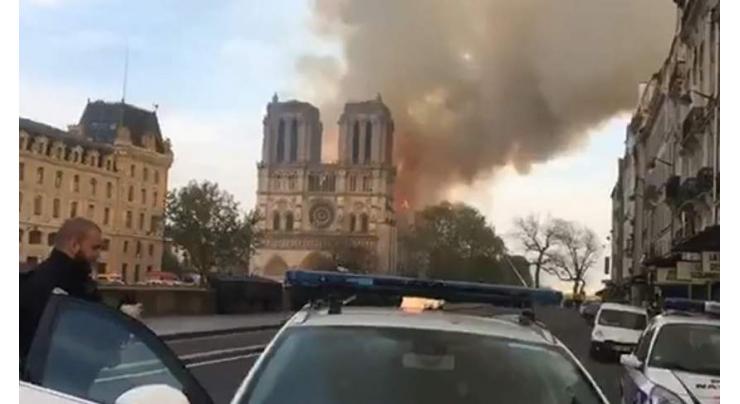 Macron's Majority Suspending European Election Campaign After Notre Dame Fire - Candidate