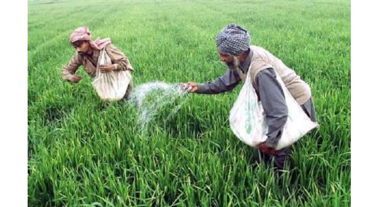 Punjab Govt providing subsidy to farmers on fertilizers to enhance crop production
