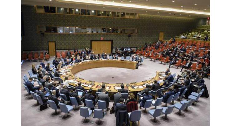UK-Drafted UNSC Resolution Calls for Immediate Ceasefire in Libya - Document
