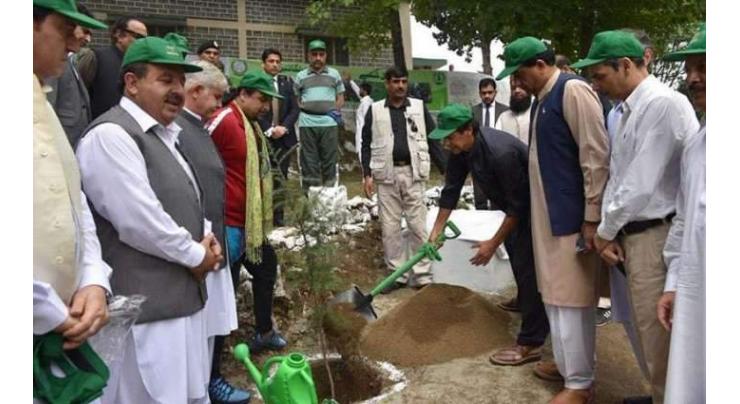 Secretary Environment directs for expediting spring trees plantation campaign
