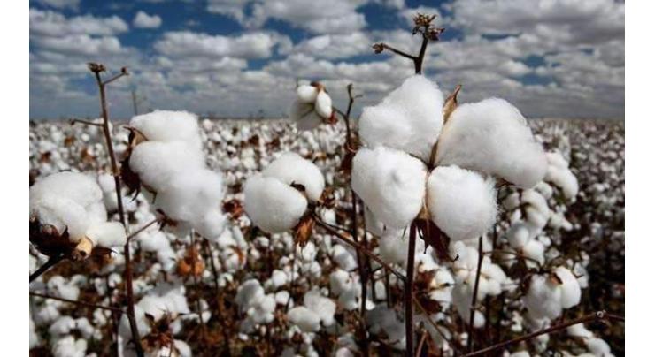 Spot rates of cotton (Crop 2018-19)
