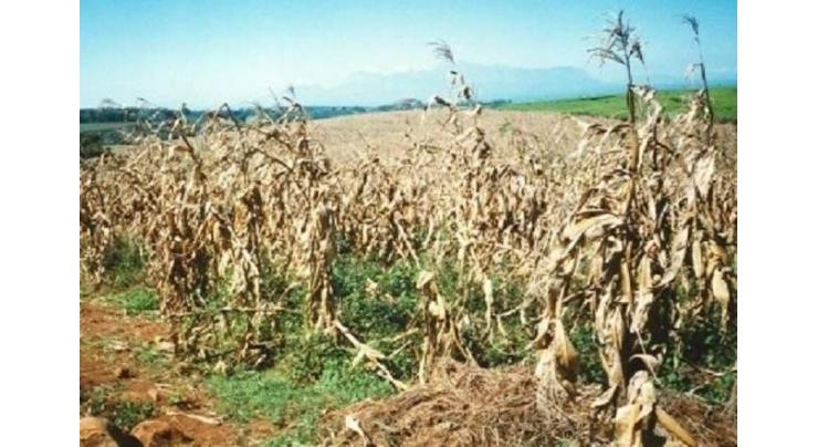 National Assembly body concerns over damage of crops, recommends relief to farmers