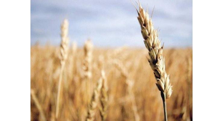 Sindh Govt. to facilitate agriculture exports: Secy. Agriculture
