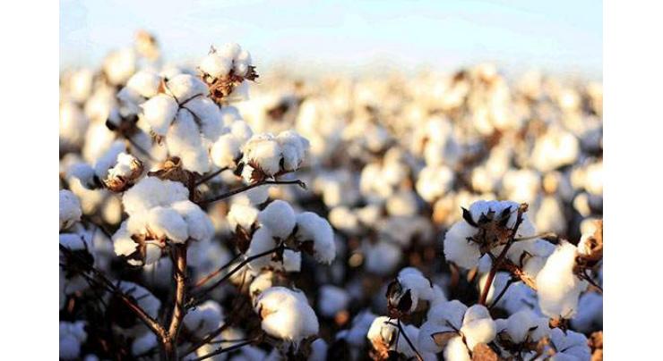 WWF, CCRI working for environment friendly cotton cultivation
