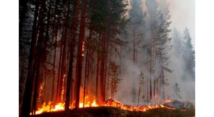 Blazes in Scandinavia ignite fears for summer season
