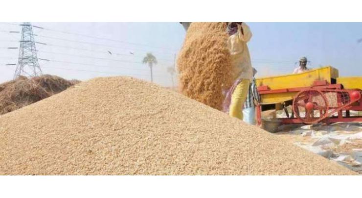 Centers established for wheat purchase
