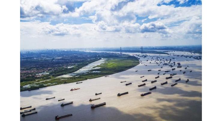China establishes alliance for aquatic life protection in Yangtze River
