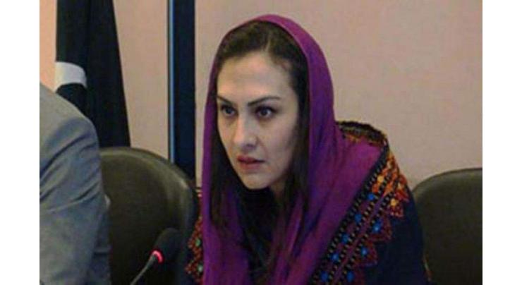 Jail Bharo Rally isn't worth your love for NS, Marvi Memon tweets