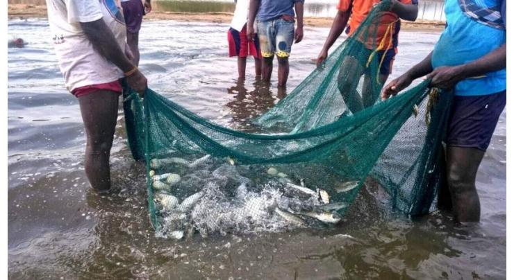 Fishing ban begins in Xiongan
