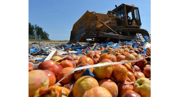 Polish Gardeners Seek End of Russian Fruit Embargo