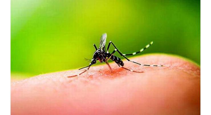 DC for expediting surveillance activities to control dengue
