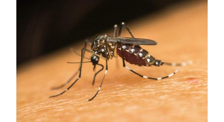 Maximum staff to be hired under dengue control programme: DC
