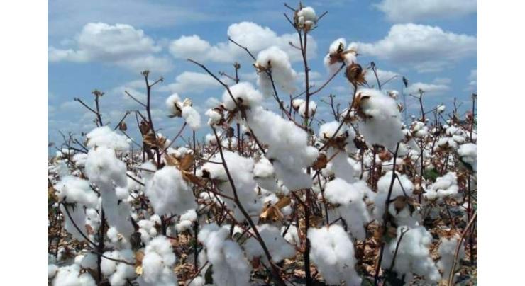 Spot rates of cotton (Crop 2018-19)
