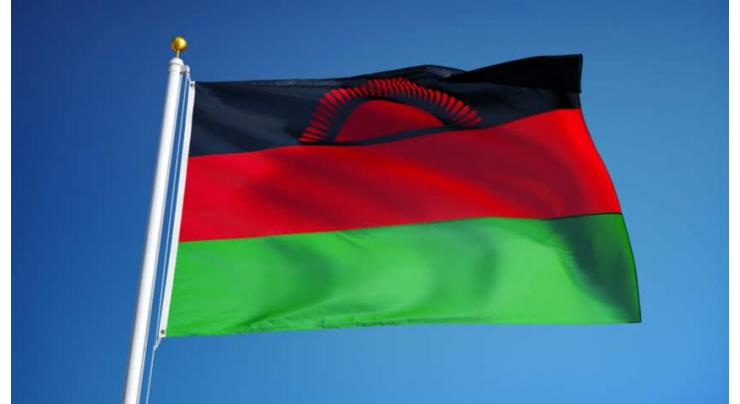 Malawi opposition rally against election 'robbery'
