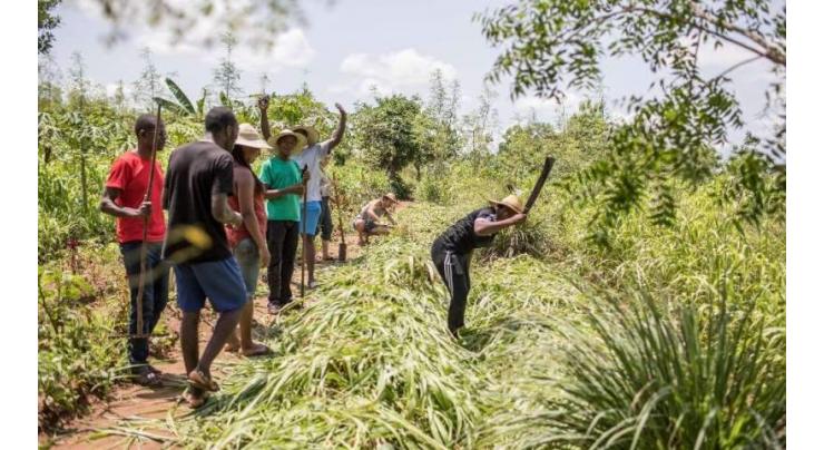 W.African farm 'bootcamp' gets green entrepreneurs into shape
